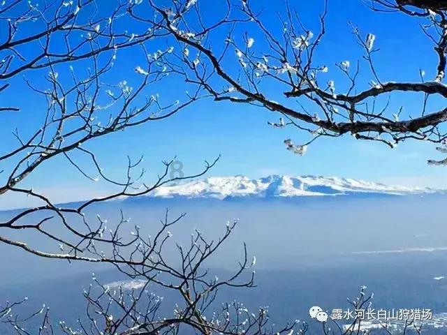部落住宅逃生